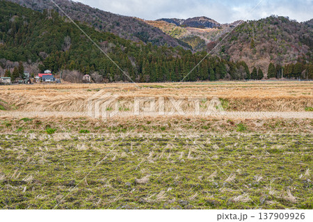 マキノ町の田園風景　滋賀県高島市 137909926