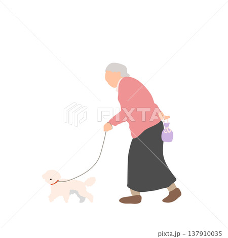 小型犬を散歩するシニア女性 137910035