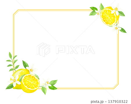 水彩で描いたレモンとレモンの花のフレーム 水彩で描いたレモンとレモンの花のフレーム 137910322