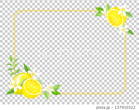 水彩で描いたレモンとレモンの花のフレーム 水彩で描いたレモンとレモンの花のフレーム 137910322