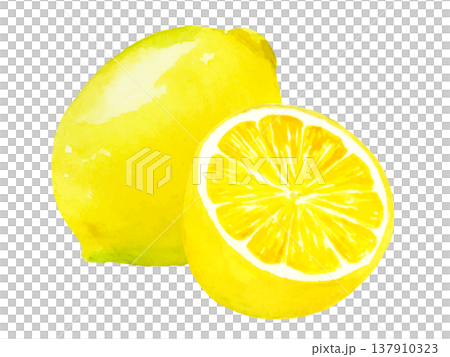 Illustration of lemon drawn in watercolor Illustration of lemon drawn in watercolor 137910323