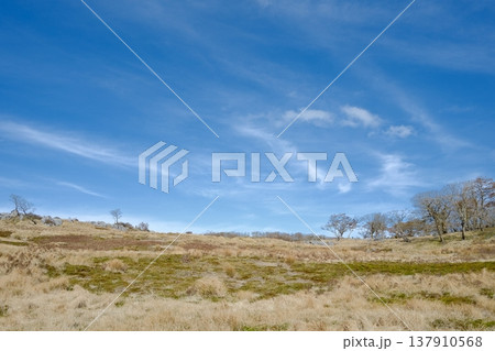 青空の下で枯れ草の斜面が広がる自然風景 137910568