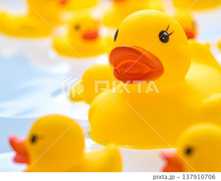 Yellow rubber ducks in the swimming pool. Close-up. Selective focus Yellow rubber ducks in the swimming pool. Close-up. Selective focus 137910706