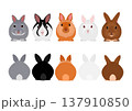 いろいろなウサギ5匹、前後セット 137910850