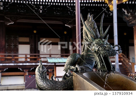 京都府 東本願寺・手水屋形の竜 京都市 下京区 常葉町 2022年2月 京都府 東本願寺・手水屋形の竜 京都市 下京区 常葉町 2022年2月 137910934