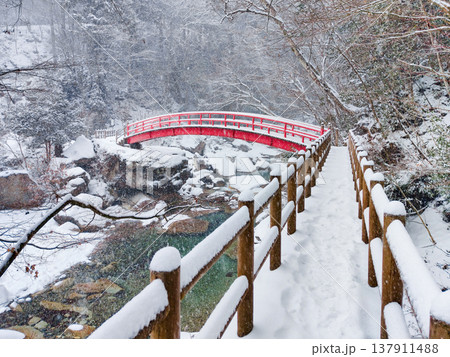 夕森渓谷（冬）：もみじ橋 137911488
