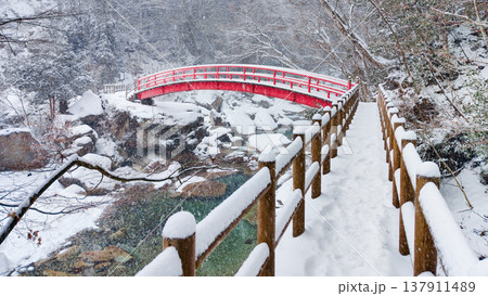 夕森渓谷(冬):もみじ橋 夕森渓谷(冬):もみじ橋 137911489