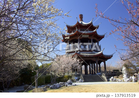 世界の梅公園「唐梅閣（とうばいかく）」（たつの市御津自然観察園） 137913519