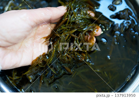生ギバサの水洗い 生ギバサの水洗い 137913950