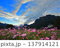 秋めく妙技 137914121