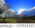 野外ライブ 137914123