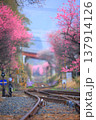 花桃軌道 137914126