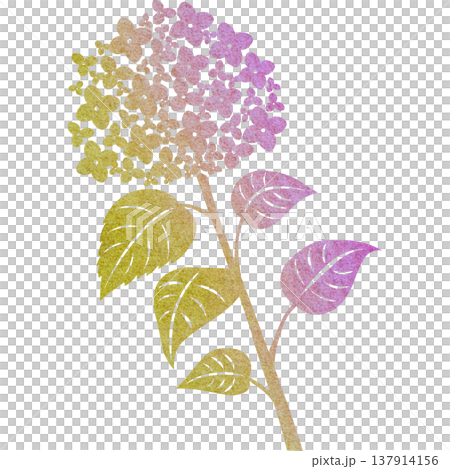 Beautiful watercolor pattern of hydrangea icon image illustration 137914156