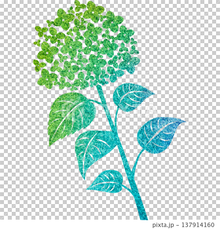 美麗的繡球花圖示圖像插圖的水彩圖案 美麗的繡球花圖示圖像插圖的水彩圖案 137914160