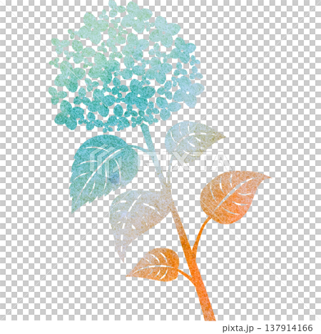 美麗的繡球花圖示圖像插圖的水彩圖案 美麗的繡球花圖示圖像插圖的水彩圖案 137914166