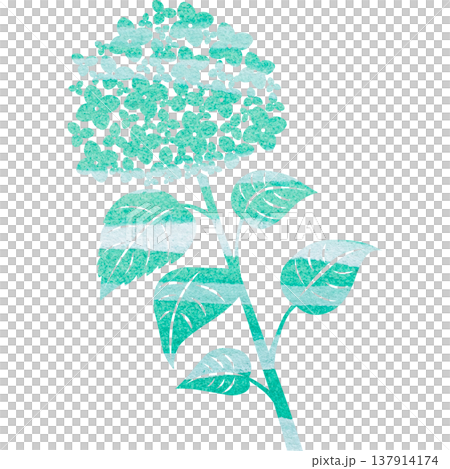 Beautiful watercolor pattern of hydrangea icon image illustration Beautiful watercolor pattern of hydrangea icon image illustration 137914174