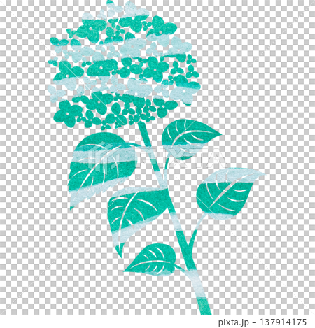 Beautiful watercolor pattern of hydrangea icon image illustration Beautiful watercolor pattern of hydrangea icon image illustration 137914175