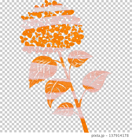 美麗的繡球花圖示圖像插圖的水彩圖案 137914178