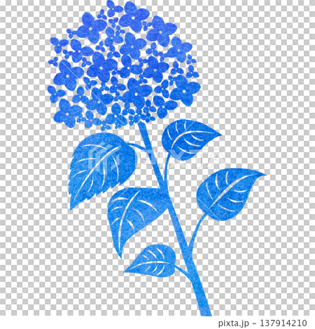 美麗的繡球花圖示圖像插圖的水彩圖案 美麗的繡球花圖示圖像插圖的水彩圖案 137914210