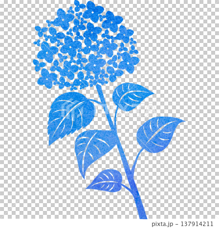 Beautiful watercolor pattern of hydrangea icon image illustration Beautiful watercolor pattern of hydrangea icon image illustration 137914211