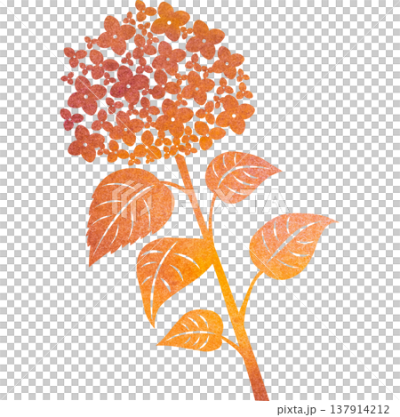 Beautiful watercolor pattern of hydrangea icon image illustration 137914212