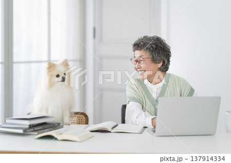 デスクワークをするシニア女性と愛犬 137914334