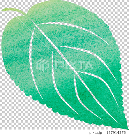 綺麗な水彩模様の葉っぱのイメージのイラスト 綺麗な水彩模様の葉っぱのイメージのイラスト 137914376