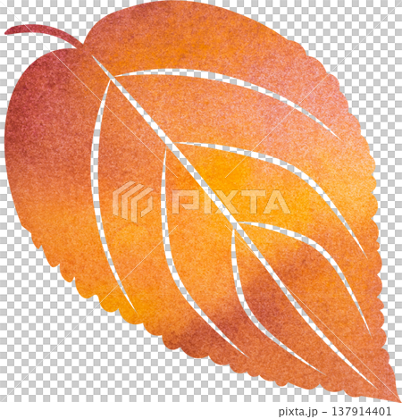 An illustration of a leaf with a beautiful watercolor pattern. 137914401