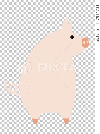 一幅扁平化的插圖，描繪了一頭背對著觀眾、回頭張望的豬。 137914731