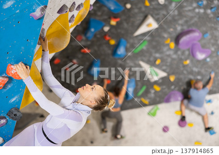 Adult woman practicing rock climbing on climbing wall Adult woman practicing rock climbing on climbing wall 137914865