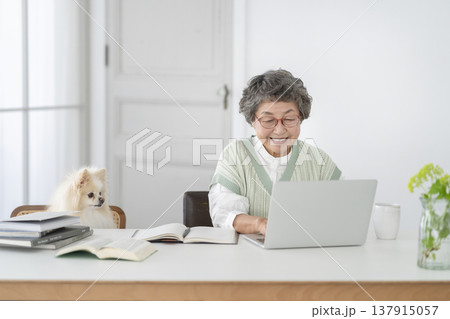 デスクワークをするシニア女性と愛犬のポメラニアン 137915057