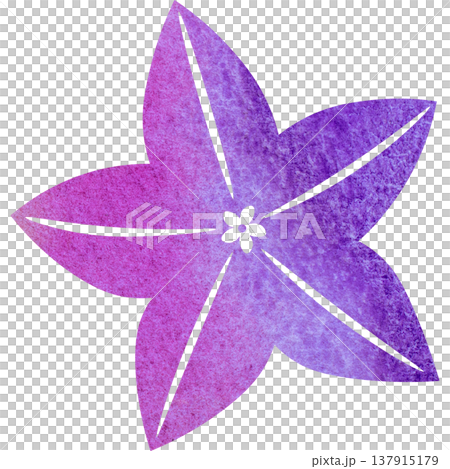 綺麗な水彩模様の桔梗の花のアイコンのイメージのイラスト 綺麗な水彩模様の桔梗の花のアイコンのイメージのイラスト 137915179