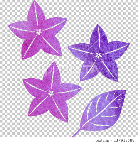 Beautiful watercolor bellflower flower icon image illustration Beautiful watercolor bellflower flower icon image illustration 137915599