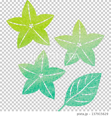 Beautiful watercolor bellflower flower icon image illustration Beautiful watercolor bellflower flower icon image illustration 137915629