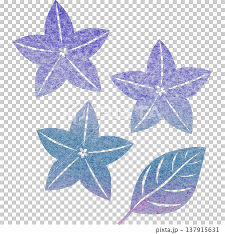 Beautiful watercolor bellflower flower icon image illustration 137915631