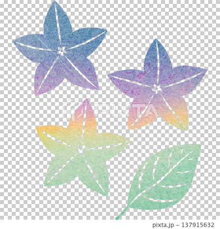 Beautiful watercolor bellflower flower icon image illustration Beautiful watercolor bellflower flower icon image illustration 137915632