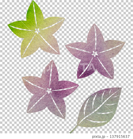 Beautiful watercolor bellflower flower icon image illustration Beautiful watercolor bellflower flower icon image illustration 137915637