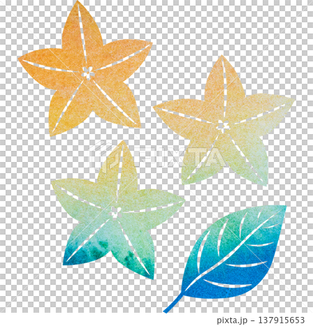Beautiful watercolor bellflower flower icon image illustration Beautiful watercolor bellflower flower icon image illustration 137915653