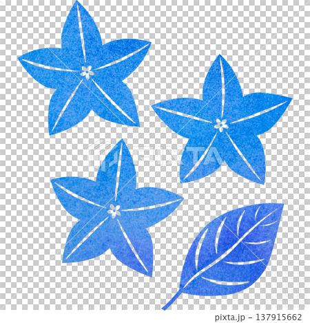 Beautiful watercolor bellflower flower icon image illustration Beautiful watercolor bellflower flower icon image illustration 137915662