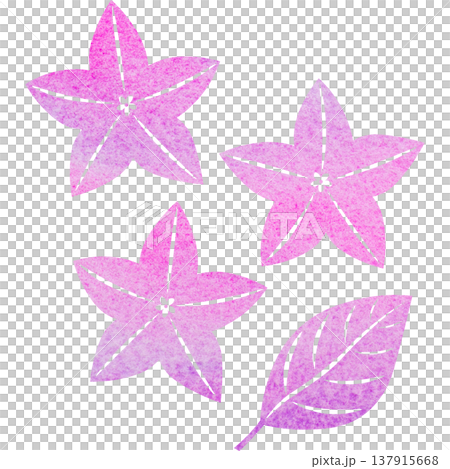 Beautiful watercolor bellflower flower icon image illustration Beautiful watercolor bellflower flower icon image illustration 137915668