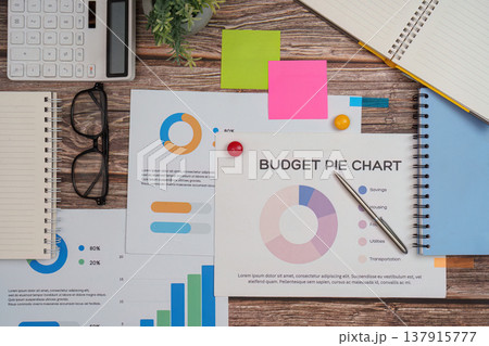 Budget analysis workspace with charts and notes 137915777