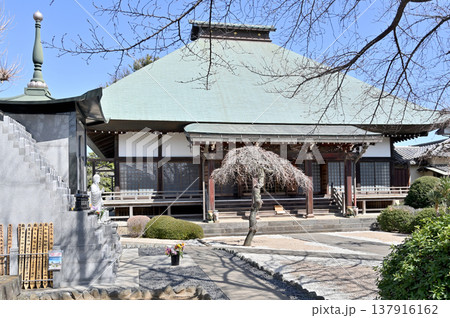 岩槻散歩:浄土宗 浄安寺 本堂 岩槻散歩:浄土宗 浄安寺 本堂 137916162