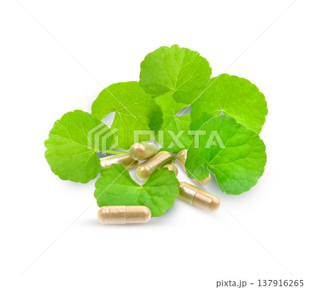 Fresh Gotu Kola leaves ( Asiatic pennywort, Indian pennywort, Centella asiatica ) and powder capsules isolated on white background. 137916265