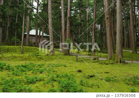 白山平泉寺 拝殿と苔エリア 白山平泉寺 拝殿と苔エリア 137916308