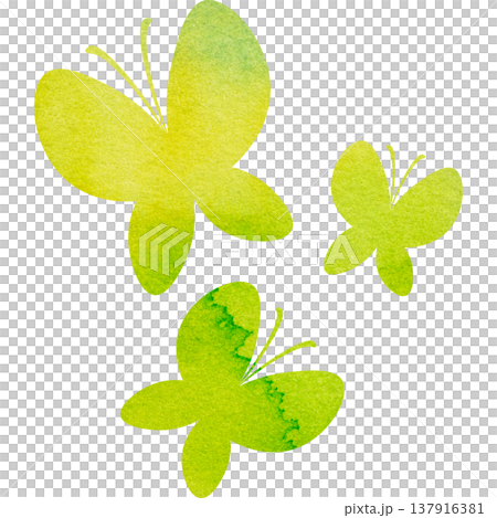 Beautiful watercolor butterfly icon image illustration 137916381