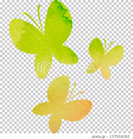 Beautiful watercolor butterfly icon image illustration 137916382