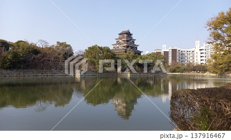 広島城 天守閣と堀(北東側) 広島城 天守閣と堀(北東側) 137916467