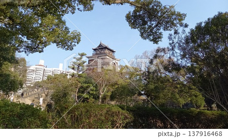 広島城　本丸上段からの天守閣 137916468