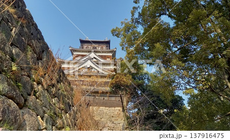 広島城 本丸下からの天守閣 広島城 本丸下からの天守閣 137916475