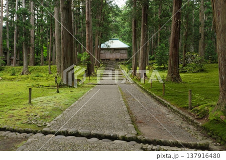 白山平泉寺 拝殿と参道 白山平泉寺 拝殿と参道 137916480